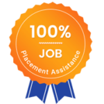 100% placement assistance